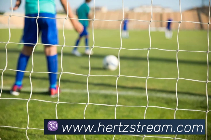 战术分析频道
